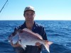wheels and his hedland pinky rare catch